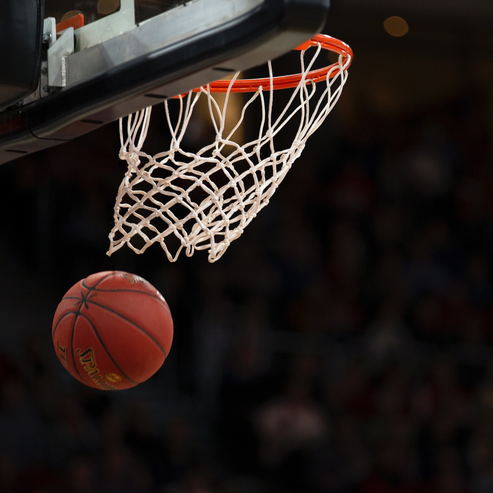 basketbalnet.jpg basketbalnet.jpg